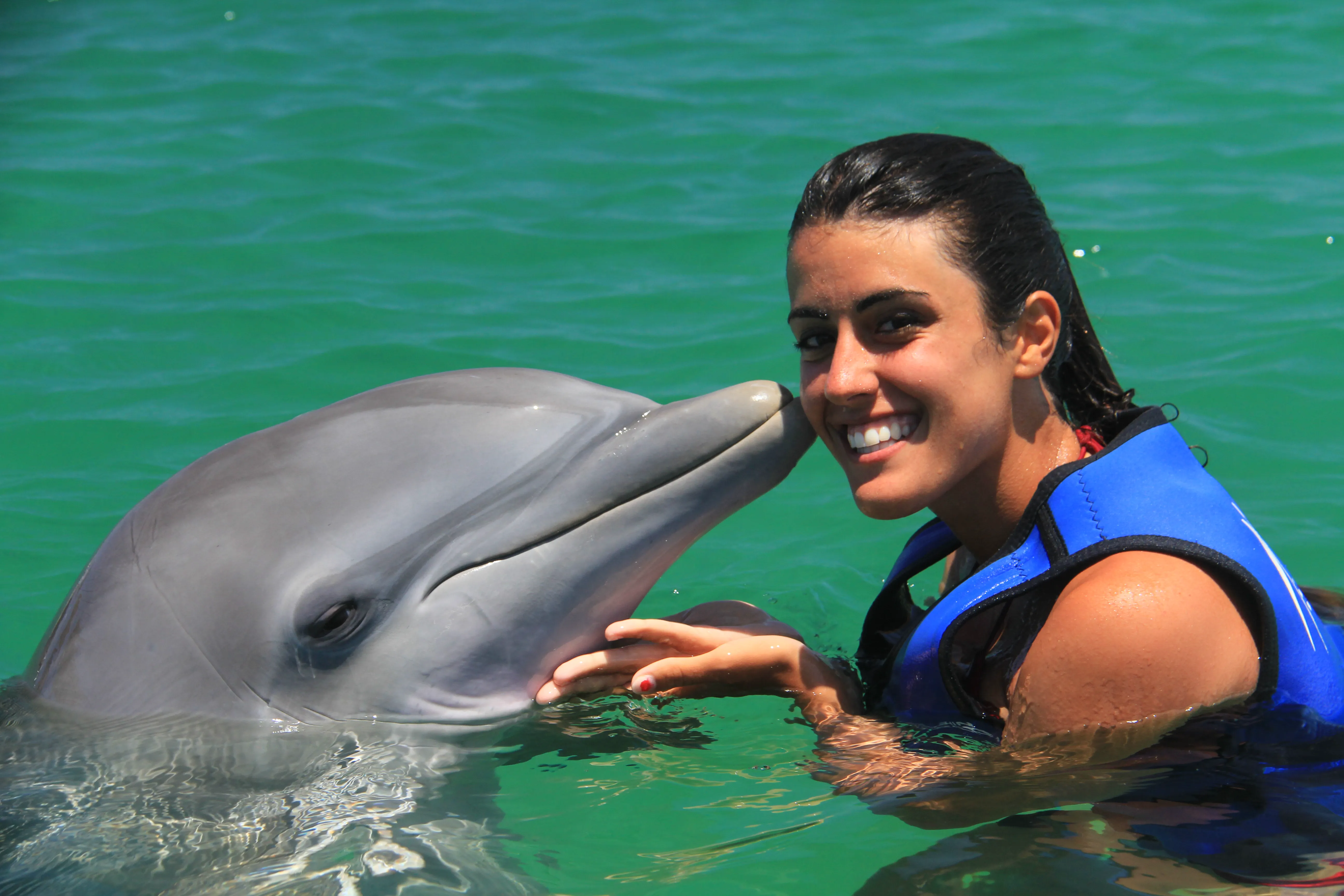 Delfines