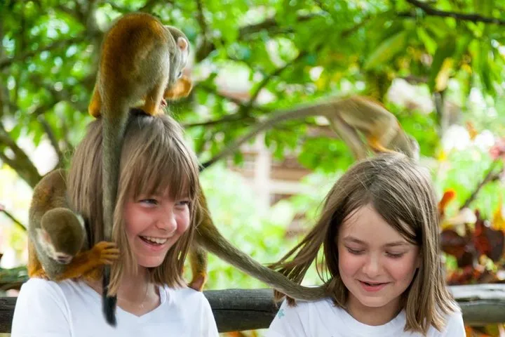 Monkeyland